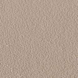 Papier CANSON® Mi-Teintes® Touch pour pastels, 50 x 65 cm (raisin)  - 350g/m², Lichen