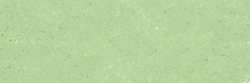 Vert pâle 955