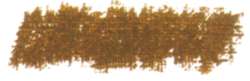 SENNELIER pastel à l´ huile grand modèle, Grand modèle, brun olive