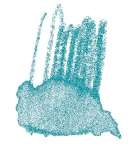 Crayon de couleur aquarellable Staedtler, Turquoise