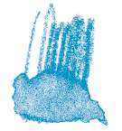 Crayon de couleur aquarellable Staedtler, Cyan