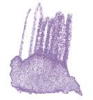 Crayon de couleur aquarellable Staedtler, Lavande