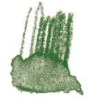 Crayon de couleur aquarellable Staedtler, Terre verte