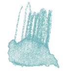 Crayon de couleur aquarellable Staedtler, Vert français