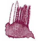 Crayon de couleur aquarellable Staedtler, Rouge toscan