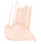 Crayon de couleur aquarellable Staedtler, Saumon