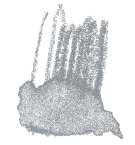 STAEDTLER® karat® Aquarell Aquarellstifte, einzeln, Farbstift, Hellgrau