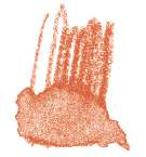 Crayon de couleur aquarellable Staedtler, Rouge écarlate