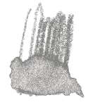 Crayon de couleur aquarellable Staedtler, Gris froid XIII