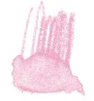 Crayon de couleur aquarellable Staedtler, Carmin clair