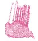 Crayon de couleur aquarellable Staedtler, Magenta