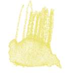 Crayon de couleur aquarellable Staedtler, Jaune citron