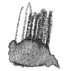 Crayon de couleur aquarellable Staedtler, Noir