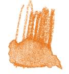 Crayon de couleur aquarellable Staedtler, Orange