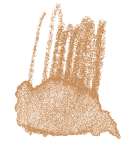 Crayon de couleur aquarellable Staedtler, Bois de rose