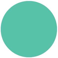 Feutre PITT artist pen Brush Faber-Castell, Brush