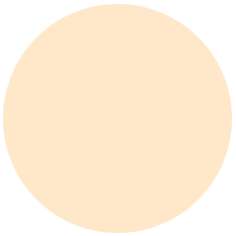 Feutre PITT artist pen Brush Faber-Castell, Brush