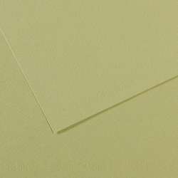 Papier CANSON® Mi-Teintes® Papier d´artistes de couleurs, 50 cm x 65 cm, Vert amande