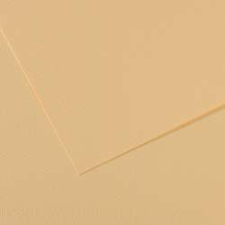 Papier CANSON® Mi-Teintes® Papier d´artistes de couleurs, 50 cm x 65 cm, Lichen