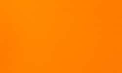 Jaune souci - PO72,PO73