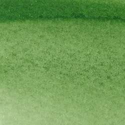 WINSOR & NEWTON™ promarker watercolour™, einzeln, WATER COLOUR™Promarker, Hookers Grün