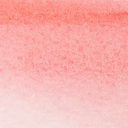 Marqueur aquarelle WINSOR & NEWTON™ Professional Water Colour, Rose pâle