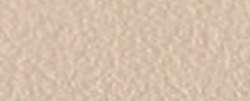 CANSON® Mi-Teintes® Touch Pastellkarton, 50 cm x 65 cm, Lichen Cream