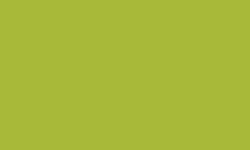 Crayon Luminance 6901® de Caran d'Ache, Jaune olive
