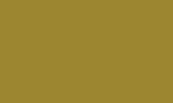 Crayon Luminance 6901® de Caran d'Ache, Ocre vert