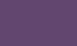 Crayon Luminance 6901® de Caran d'Ache, Brun violet
