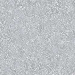 Clairefontaine Fotokarton Maya, Bogenware, 50 x 70, Silber