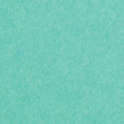 Clairefontaine Tonzeichenpapier Maya, DIN A4, 25er-Packung, Tannengrün