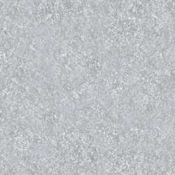 Papier de couleur Maya Clairefontaine, A4 paquet de 25 feuilles, argent