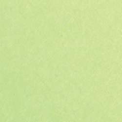 Carton photo Maya Clairefontaine, 50 x 70 cm - 270 g/m² - Paquet de 25 feuilles, Vert mousse