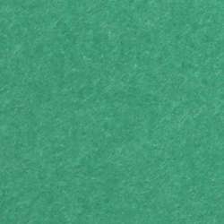 Clairefontaine Fotokarton Maya, 25er Packung, DIN A4, Antikgrün