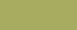 Marqueur ProMarker™ WINSOR & NEWTON, vert marais (G136)