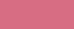 Marqueur ProMarker™ WINSOR & NEWTON, rose saumon (R547)