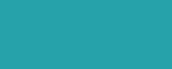 Marqueur ProMarker™ WINSOR & NEWTON, turquoise (C247)