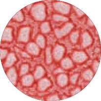 Peinture à effet Fantasy Prisme PÉBÉO, 45 ml, rose glacé