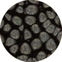 Peinture à effet Fantasy Prisme PÉBÉO, 45 ml, onyx