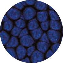 Peinture à effet Fantasy Prisme PÉBÉO, 45 ml, bleu nuit