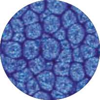 Peinture à effet Fantasy Prisme PÉBÉO, 45 ml, bleu marine