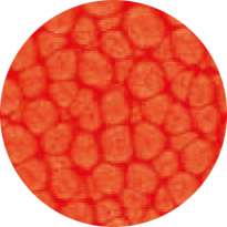 pébéo Fantasy Prisme, 45-ml, Zinnoberrot