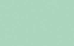 FLAME™ ORANGE, 400-ml, Menthol hell