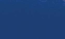 SENNELIER Ink Brush Pinselstift, Einzelstift, Primärblau