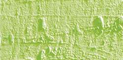 Pastel à l'huile Neopastel  de Caran d'Ache, Vert tilleul PY3 / PG7