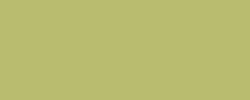 CARAN D`ACHE NEOCOLOR II  pastel aquarellable, Couleurs classiques, Olive clair