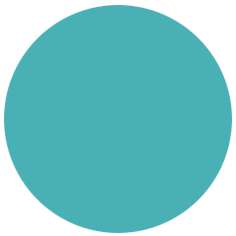 Feutre PITT artist pen Brush Faber-Castell, Brush