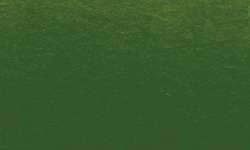 Pinceau d´encre Ink Brush Sennelier, Vert olive