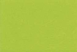 Peinture acrylique TALENS Art Creation, 750 ml, Vert jaunâtre